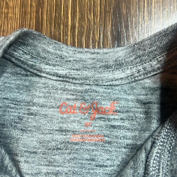 Lot of boy casual tees size 2t - Picture 10 of 10